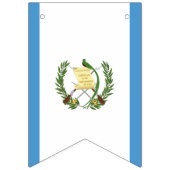 Vlag van Guatemala Vlaggetjes (Eerste vlag)