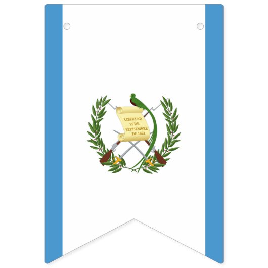 Vlag van Guatemala Vlaggetjes (Eerste vlag)