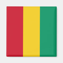 Vlag van Guinee (Afrikaans land) Magneet