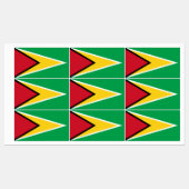 Vlag van Guyana Labels (Vel)