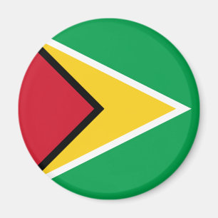Vlag van Guyana Magneet