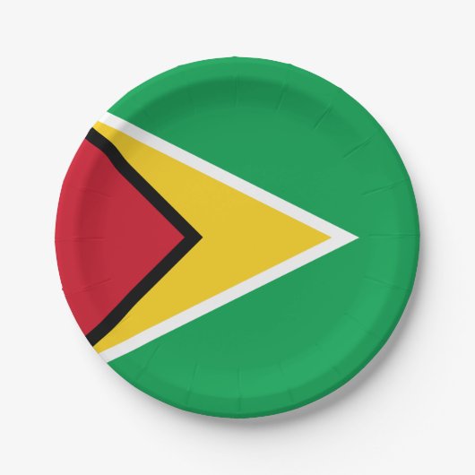 Vlag van Guyana Papieren Bordje (Voorkant)