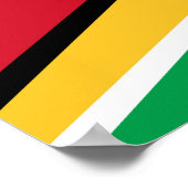 Vlag van Guyana Poster (Hoek)