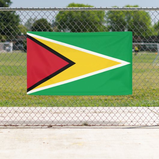 Vlag van Guyana Spandoek (Insitu)