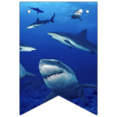 Vlag van haaienbanner vlaggetjes (Tweede vlag)