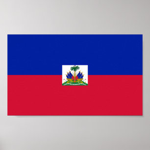 vlag van Haïti Poster