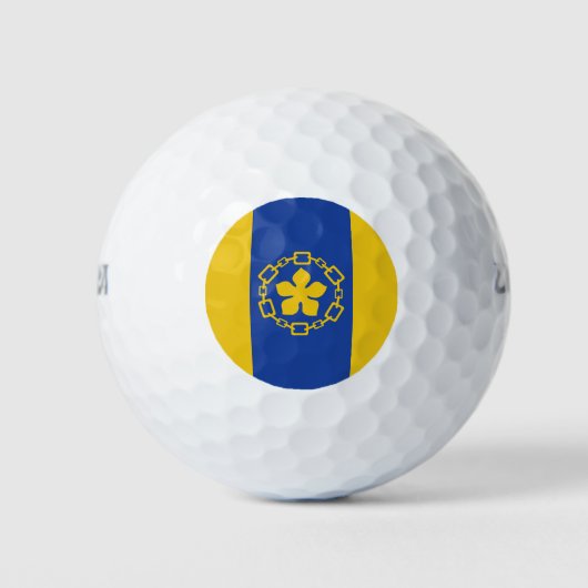Vlag van Hamilton (Ontario, Canada) Golfballen (Voorkant)
