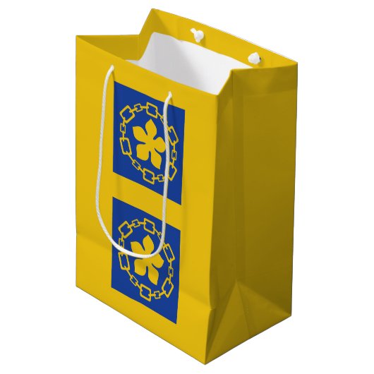 Vlag van Hamilton, Ontario Medium Gift Bag Cadeauzakje (Voorkant Gekanteld)