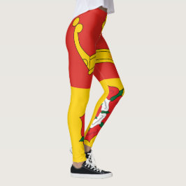 Vlag van Hampshire (Graafschap in VK) Leggings