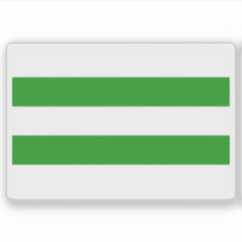 Vlag van Hasselt, België Sticker