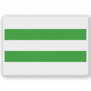 Vlag van Hasselt, België Sticker
