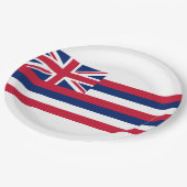 Vlag van Hawaï (Amerikaanse staat) Papieren Bordje (Gekanteld)