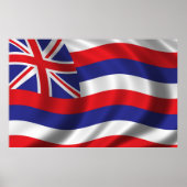 Vlag van Hawaii Poster (Voorkant)