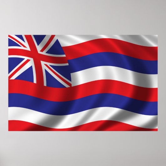 Vlag van Hawaii Poster (Voorkant)