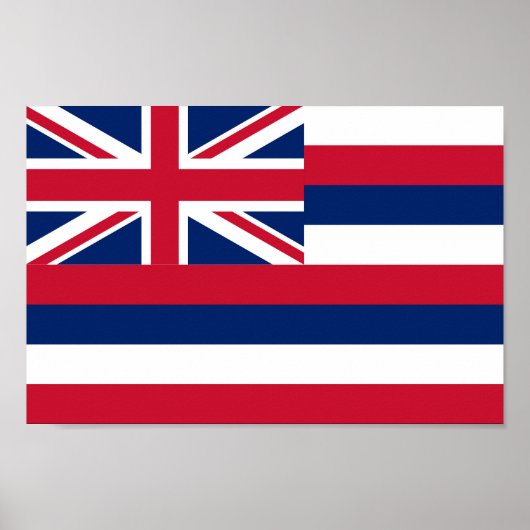 vlag van Hawaii Poster (Voorkant)