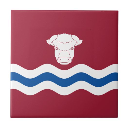 Vlag van Herefordshire (Verenigd Koninkrijk) Tegeltje (Voorkant)