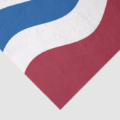 Vlag van Herefordshire (Verenigd Koninkrijk) Tissuepapier (Detail)