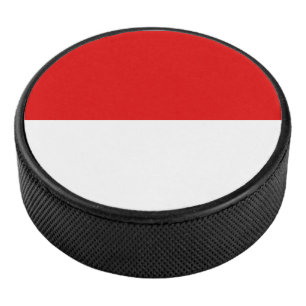 Vlag van Hesse Hockey Puck