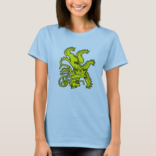 Vlag van het appartement t-shirt (Voorkant)
