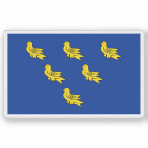 Vlag van het graafschap Sussex, Engeland Sticker