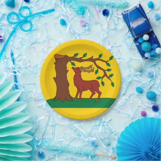 Vlag van het historische graafschap Berkshire Pape Papieren Bordje (Feest)