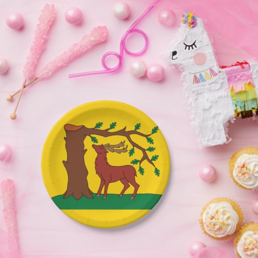 Vlag van het historische graafschap Berkshire Pape Papieren Bordje (Feest)