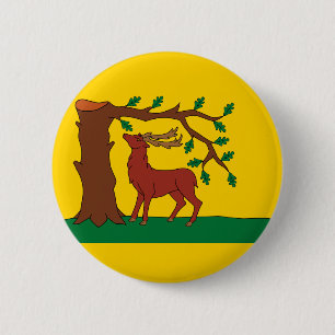 Vlag van het historische graafschap Berkshire Ronde Button 5,7 Cm