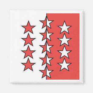 Vlag van het kanton Wallis, Zwitserland Magneet