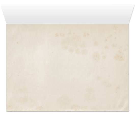  vlag van het militair huwelijk (Binenzijde Horizontaal (Onderkant))