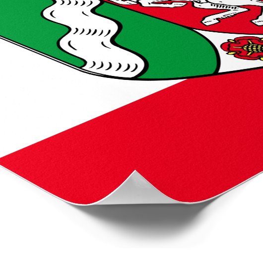 Vlag van het Poster Noordrijn-Westfalen (Hoek)