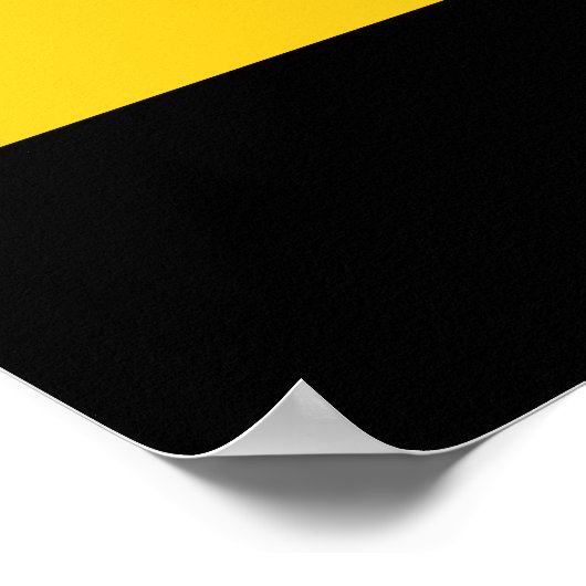 Vlag van het Poster Saksen-Anhalt (Hoek)