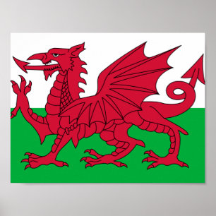 Vlag van het Poster van Wales