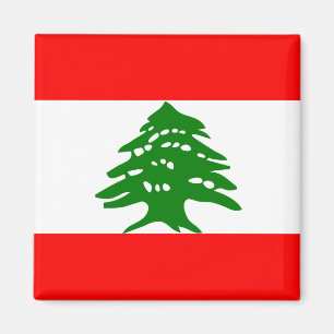 Vlag van hoge kwaliteit in Libanon Magneet