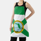 Vlag van Hollywood, Florida Schort (Insitu)