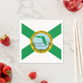 Vlag van Hollywood, Florida Servet (Insitu)