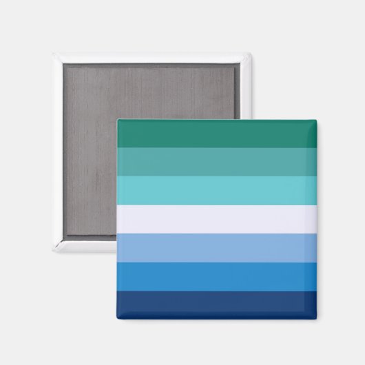 Vlag van homoseksuele Mannen (LGBT-symbool) (Gay P Magneet (Voorkant / Achterkant)