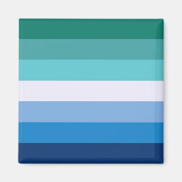 Vlag van homoseksuele Mannen (LGBT-symbool) (Gay P Magneet