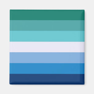 Vlag van homoseksuele Mannen (LGBT-symbool) (Gay P Magneet