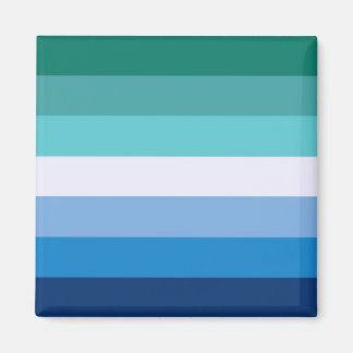 Vlag van homoseksuele Mannen (LGBT-symbool) (Gay P Magneet