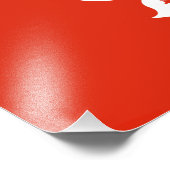 Vlag van Hong Kong Foto Afdruk (Hoek)