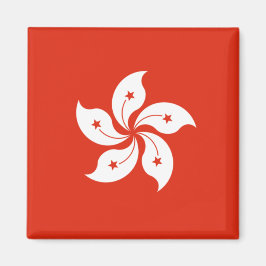 Vlag van Hong Kong Magneet