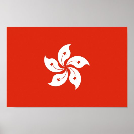 Vlag van Hong Kong Poster (Voorkant)