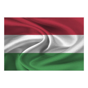 Vlag van Hongarije Foto Afdruk