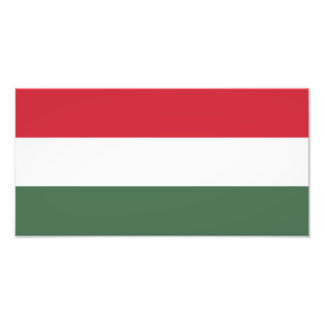 Vlag van Hongarije Foto Afdruk