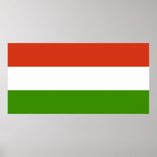Vlag van Hongarije Poster