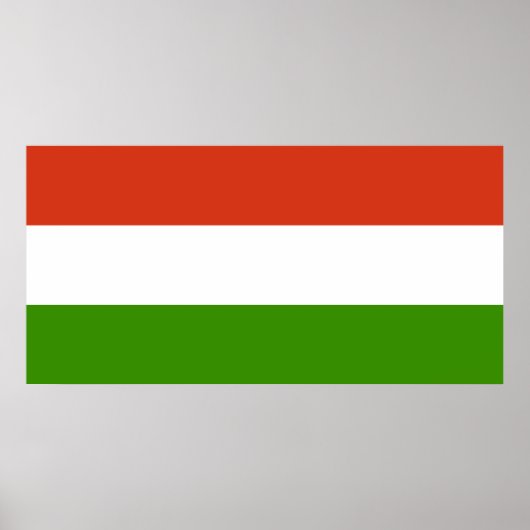 Vlag van Hongarije Poster (Voorkant)