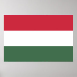 Vlag van Hongarije Poster