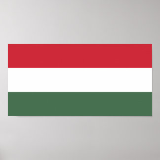 Vlag van Hongarije Poster