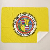 Vlag van Honolulu (Hawaii)