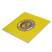 Vlag van Honolulu (Hawaii) Tegeltje (Zijkant)